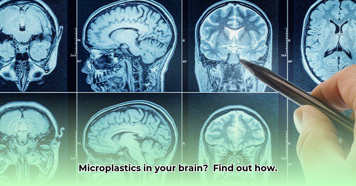 microplastics-in-hersenen